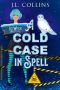[Ice Witch Mysteries 01] • A Cold Case in Spell